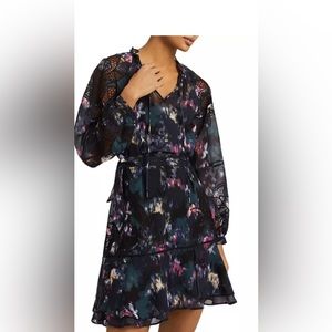 Kenzie Smudge Floral Embroidered Mini Dress